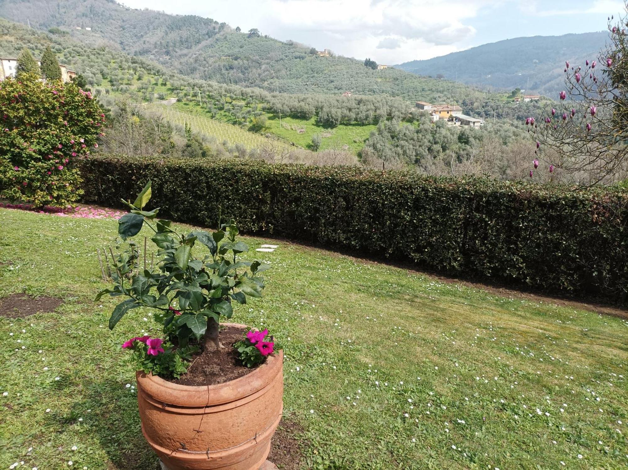 Villa Camelia Tuscany Pescia Ngoại thất bức ảnh
